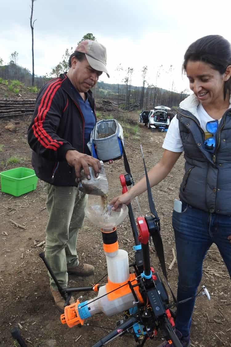 Con drones buscan reforestar bosques dañados por incendios forestales en Veracruz