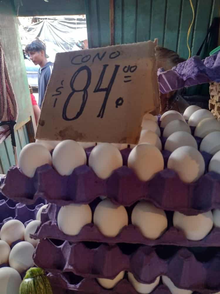 Baja el precio del huevo en Veracruz