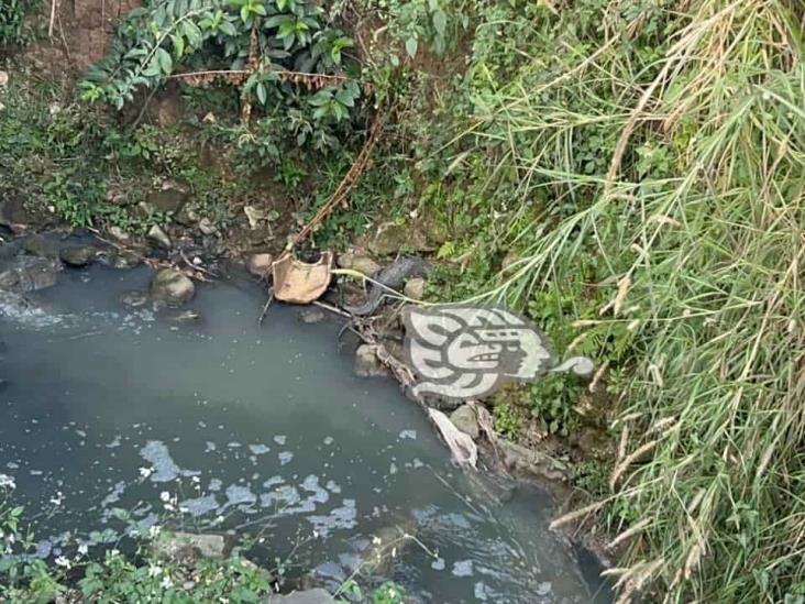 Aparece cocodrilo en arroyo de aguas negras en Córdoba