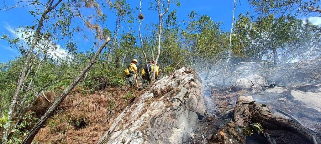 Incendio en Tequila afectó 2.20 hectáreas de bosque de pino y encino