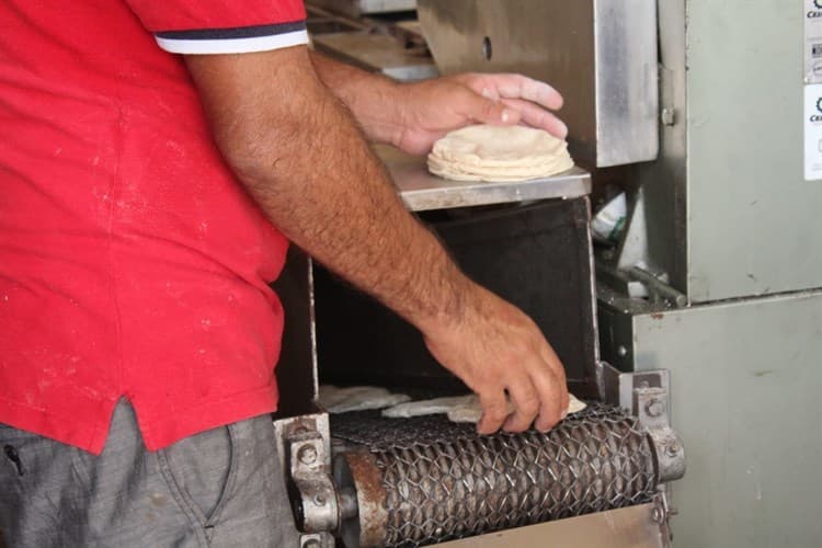 Entérate cuándo subirá el precio de la tortilla en Veracruz (+Video)
