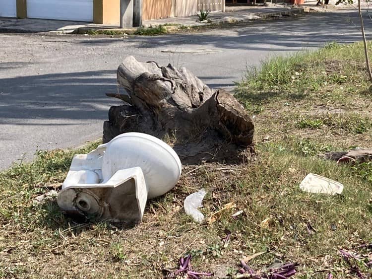 ¿Una taza a media calle en Veracruz? Aquí te decimos donde