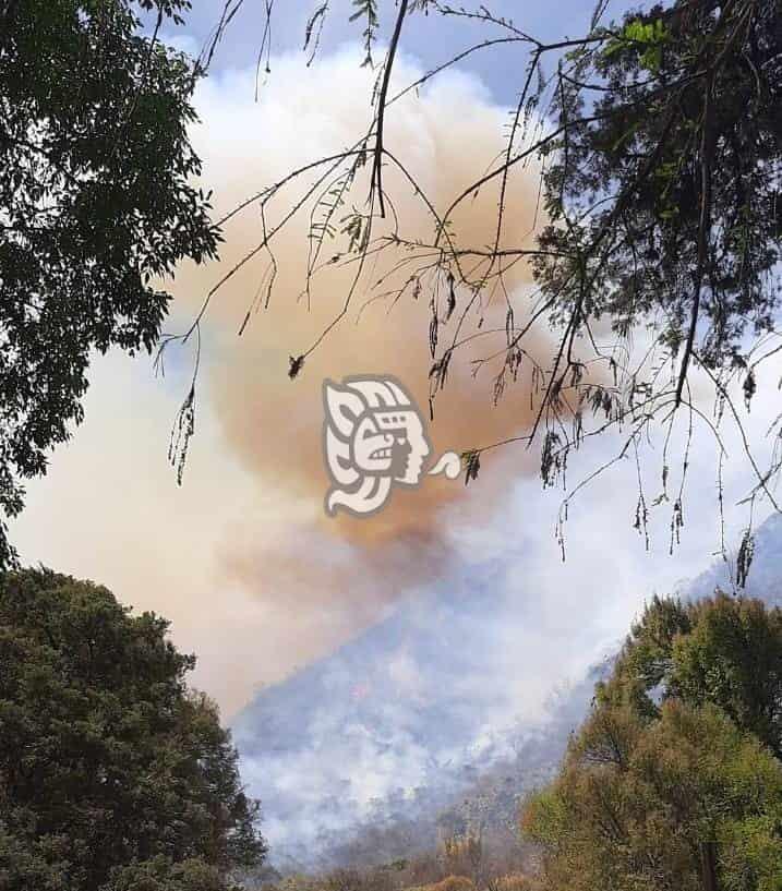 PC atiende dos incendios en La Perla y Nogales