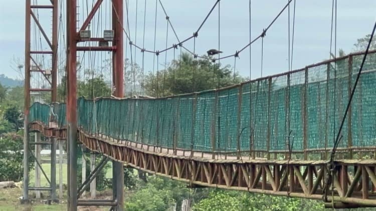 Sin avance, rehabilitación de puente en Cazones