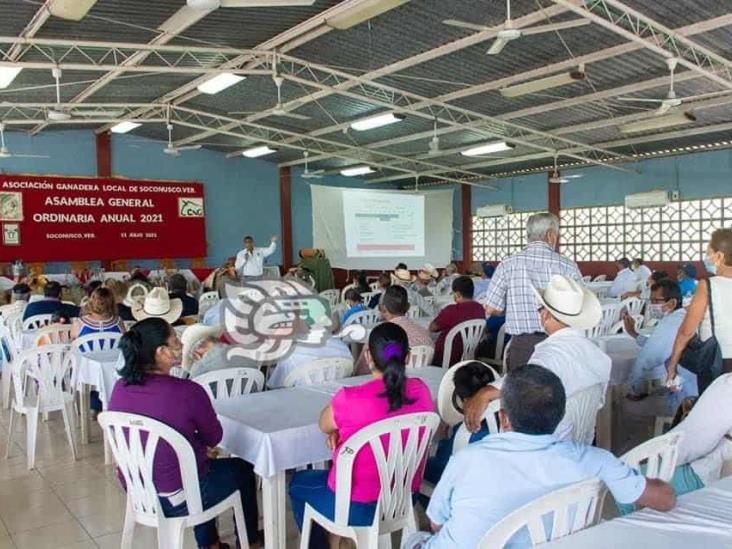 Alistan asamblea general en la AGL de Soconusco