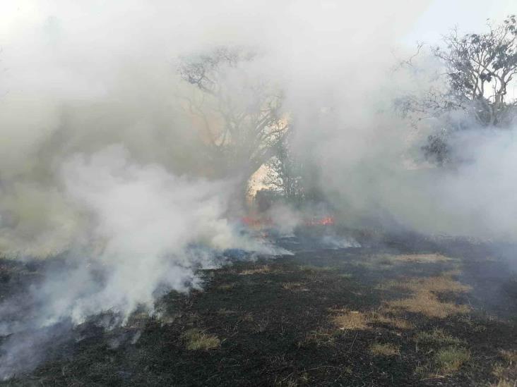 Otro incendio de pastizal en Emiliano Zapata  moviliza a Bomberos