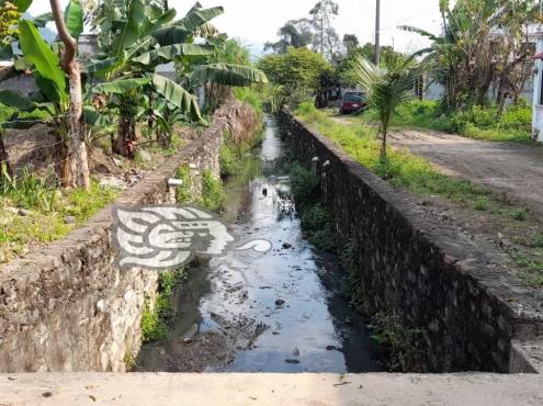 Denuncian contaminación con aguas negras en colonia de Misantla