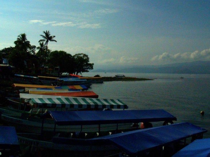 ¡Se agota el Tegogolo en Laguna de Catemaco!