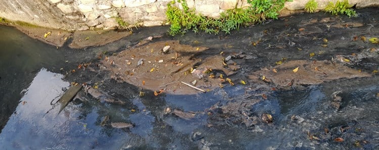 Denuncian contaminación con aguas negras en colonia de Misantla