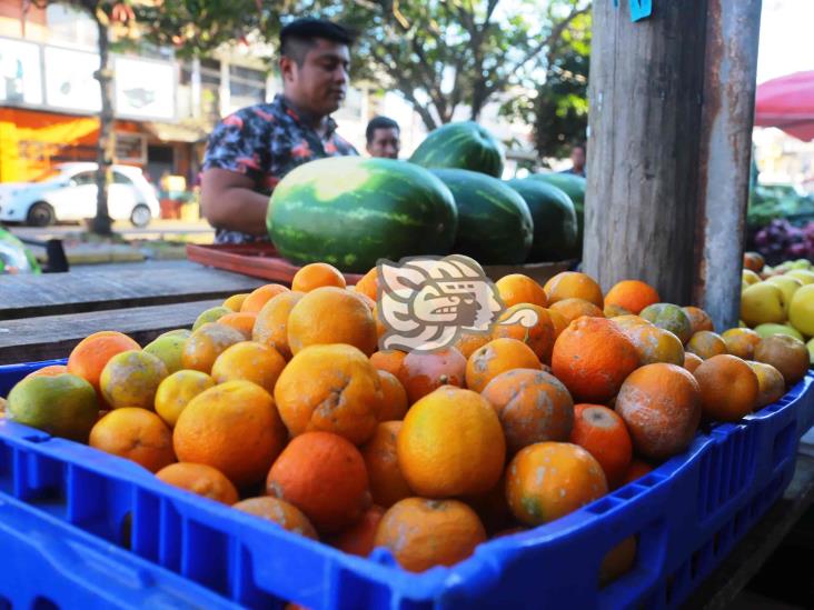 Sequía haría que kilo de limón supere los 40 pesos al sur de Veracruz