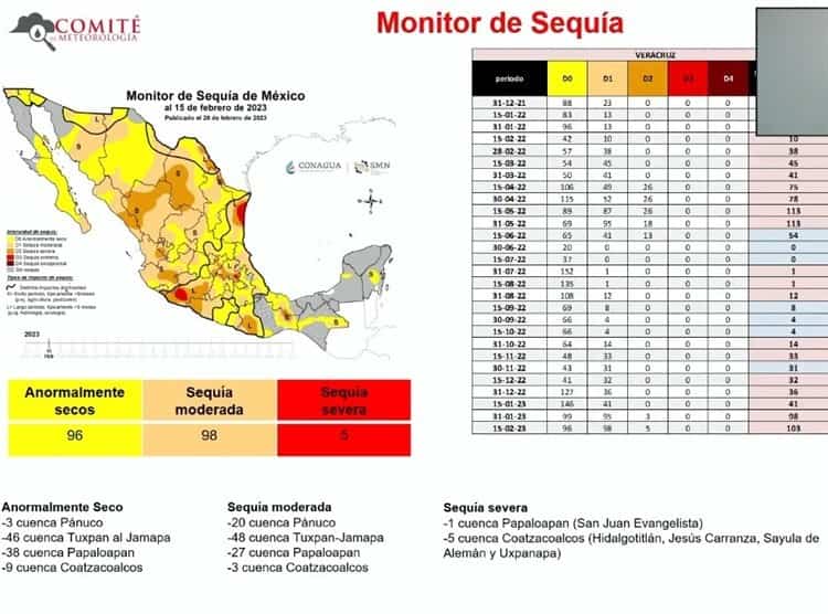 Sufren estragos de sequía ocho municipios del sur de Veracruz  (+Vídeo)
