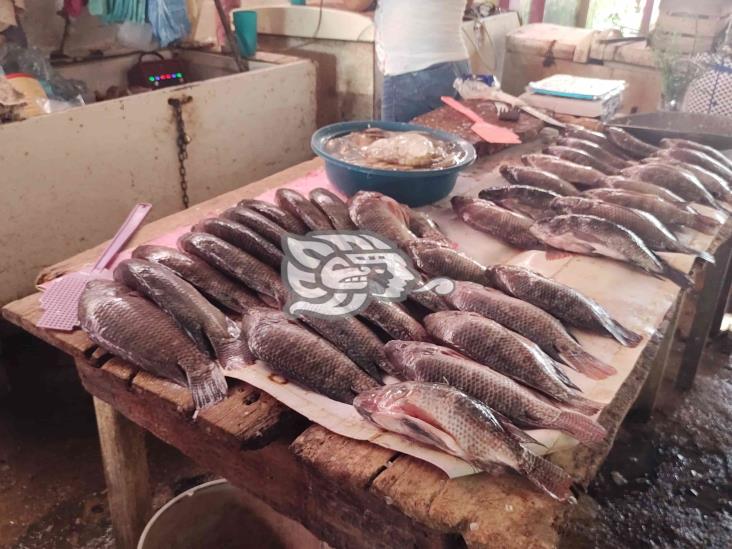 Venta de pescados y mariscos no ha tenido un incremento en sur de Veracruz