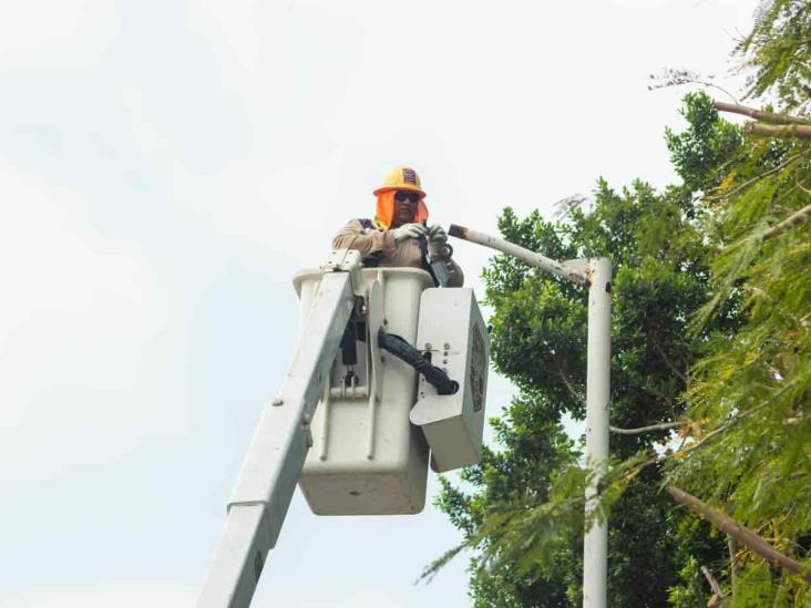 Reparan luminarias en Poza Rica