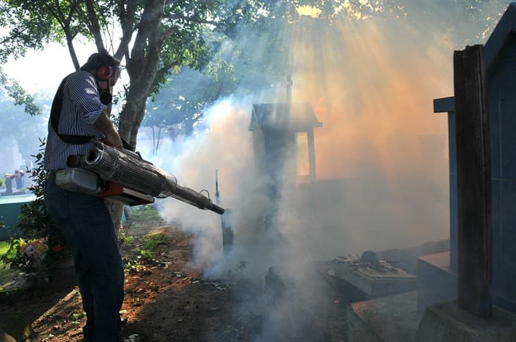 ¡Atención! Repuntan casos de dengue en Veracruz