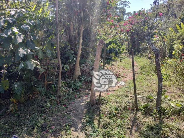 Tima delincuente a abuelitos haciéndose pasar por un gestor de Programas del Bienestar