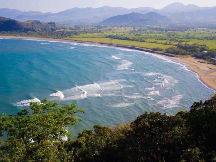 Reportan avistamiento de 17 delfines frente a playas de Pajapan, Veracruz