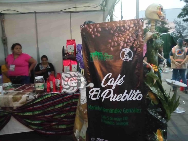 En la capital veracruzana, ya inició el festival Xalapa, Café y Aroma 2023 (+Video)