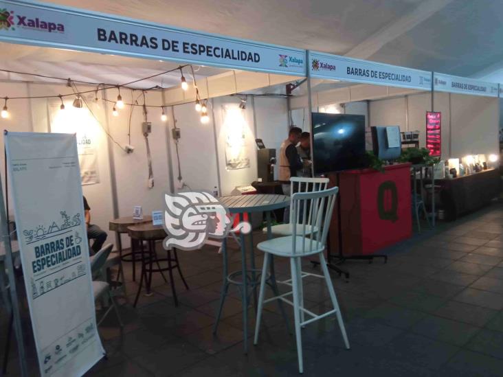 En la capital veracruzana, ya inició el festival Xalapa, Café y Aroma 2023 (+Video)