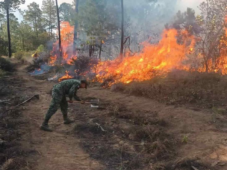 Activos, seis incendios forestales en Veracruz