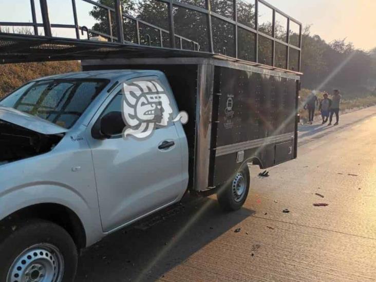 Chocan camionetas cargadas con pollos en la Orizaba-Veracruz