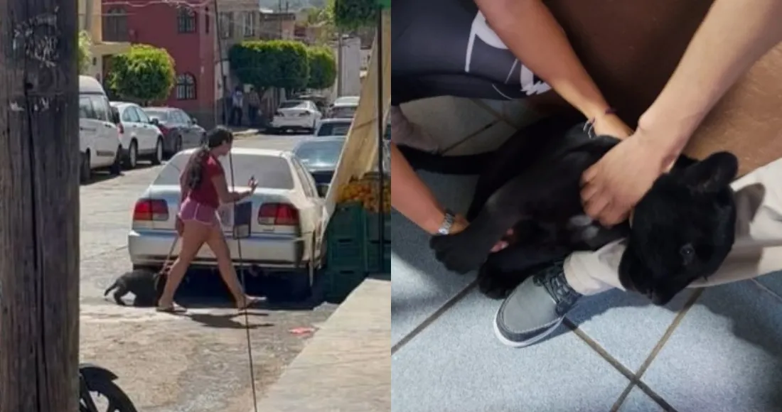 Mujer pasea a bebé jaguar en calles de Jalisco