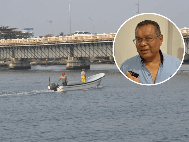 Puente que comunica a Boca del Río con Alvarado es funcional: Colegio de Ingenieros