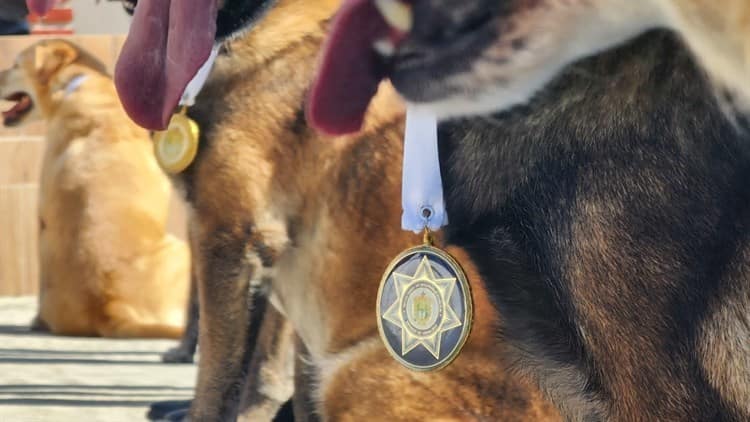 Rinden honores a 8 elementos caninos de la Fuerza Civil retirados en Veracruz
