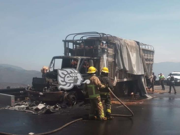 Se incendia camión de carga en autopista Puebla-Orizaba; rapiñeros roban mercancía (+Video)