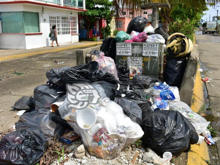 Persiste problemática de la basura y foco de infección en La Olmeca