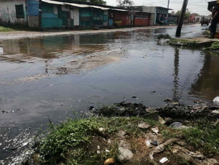 Sin solución en colonia de Coatzacoalcos; 8 años entre aguas negras (+Vídeo)