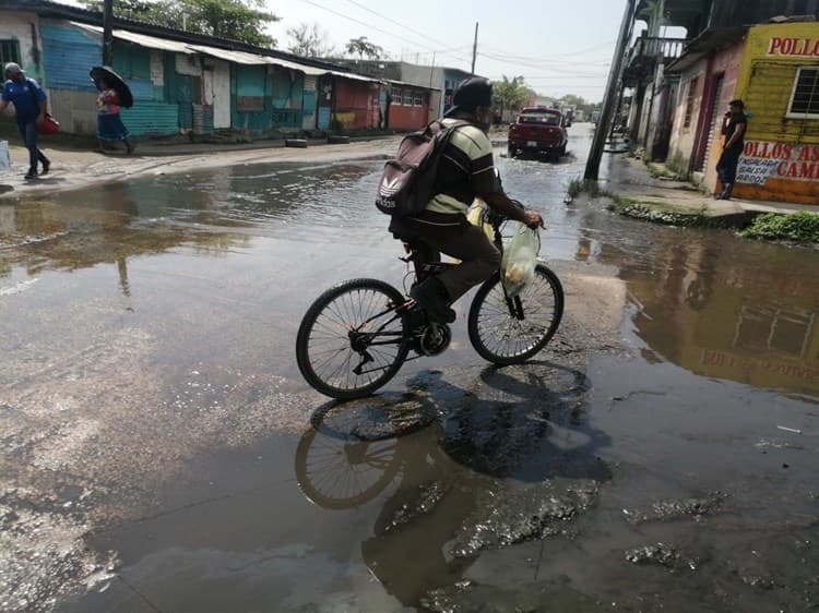 Sin solución en colonia de Coatzacoalcos; 8 años entre aguas negras (+Vídeo)