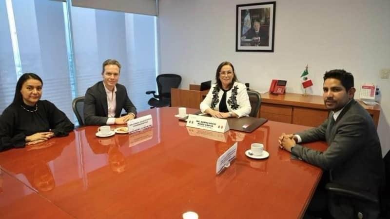 Rocío Nahle, el Verde y la senaduría para Javier Herrera