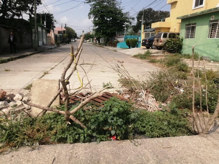 Con llantas, cubetas y ramas, alertan por calles en mal estado en Coatzacoalcos