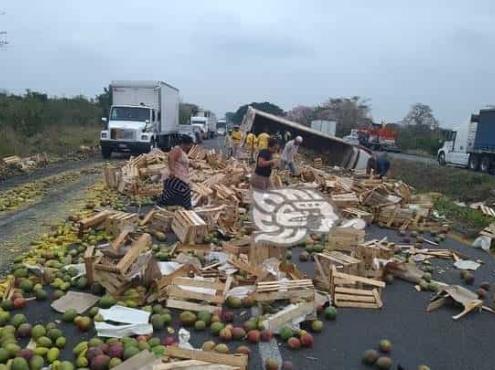Vuelca torton con más de 20 toneladas de mango en Cotaxtla