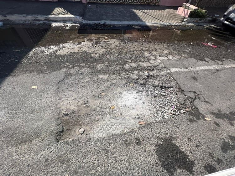 Sufren vecinos de colonia Miguel Alemán de Veracruz por calle llena de baches