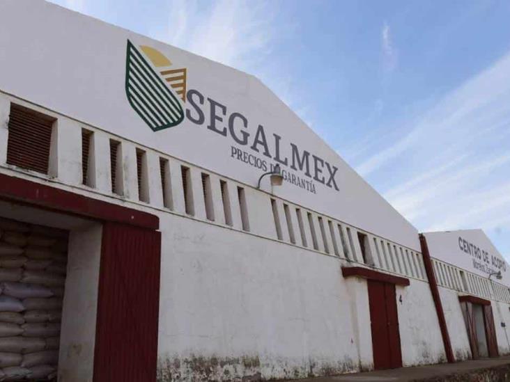 Segalmex: FGR gira 22 órdenes de aprehensión por desfalco