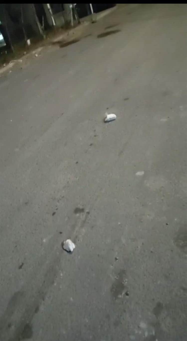Sujetos atacan con piedras a niños en fraccionamiento Albatros, en Veracruz