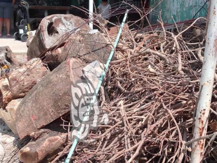 Por obras, regalan leña y escombros en el centro de Coatzacoalcos