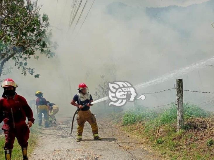 Incendio de pastizal en Río Blanco consume 15 hectáreas