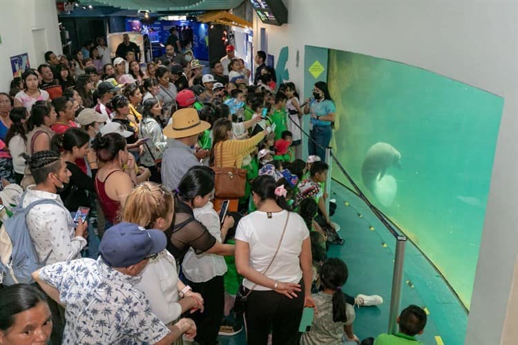 7 mil 500 personas disfrutaron del martes gratuito del Aquarium de Veracruz