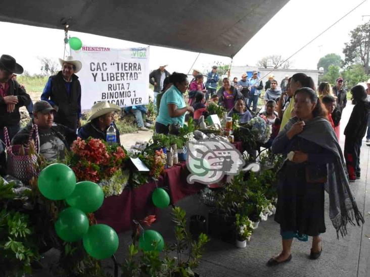 Culpa del alcalde de Orizaba, largas filas en banco del Bienestar