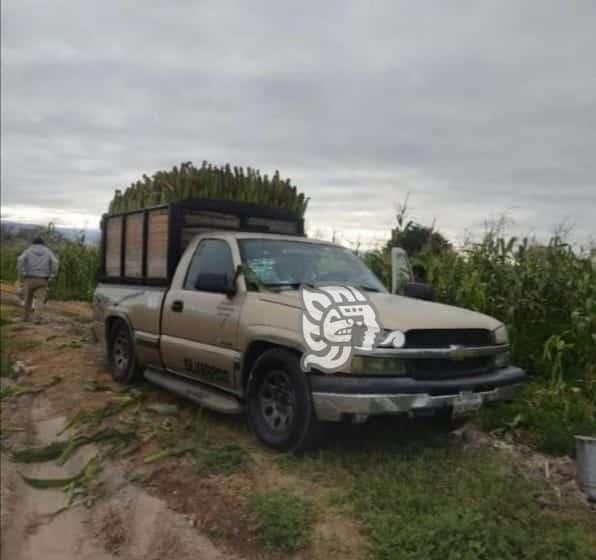 Roban camioneta a comerciante de Orizaba