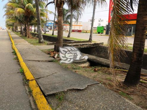 ¡Cuidado! Peligrosos socavones en la avenida Las Palmas ponen en riesgo a los peatones
