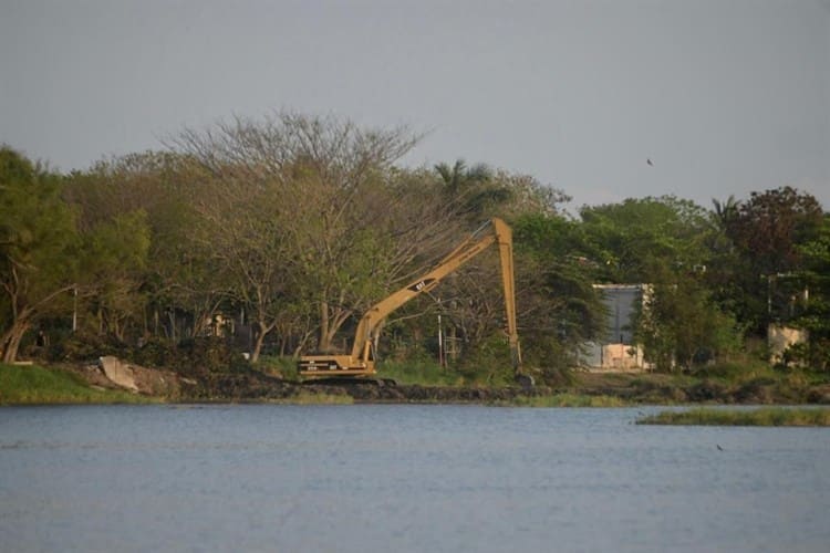 Regresa fauna silvestre con el rescate de la Laguna Lagartos en Veracruz