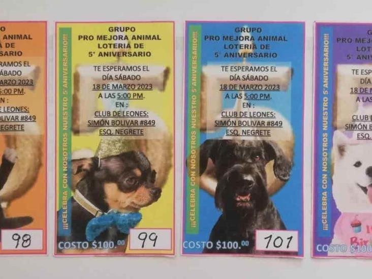 Grupo Promejora Animal; 5 años de rescatar perritos