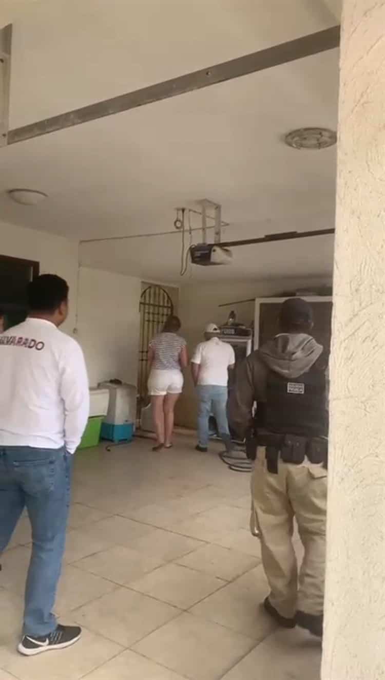 Perro devora a otro en fraccionamiento de Alvarado por falta de alimento (+Video)