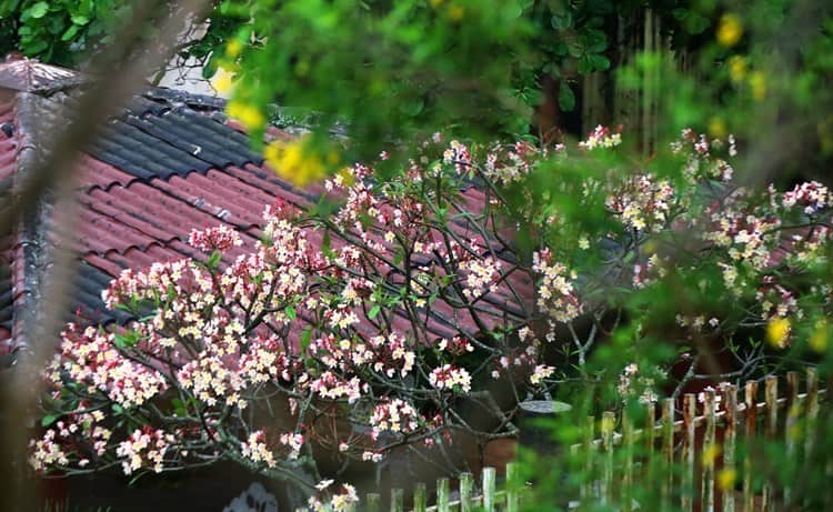 Frío inicio de primavera en el sur de Veracruz