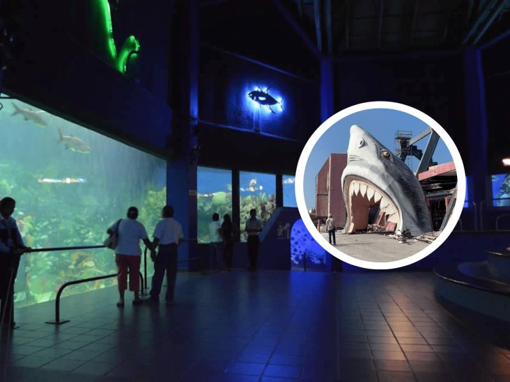 Incluye tiburones del Pirata; alista PMA remodelación del Aquarium de Veracruz