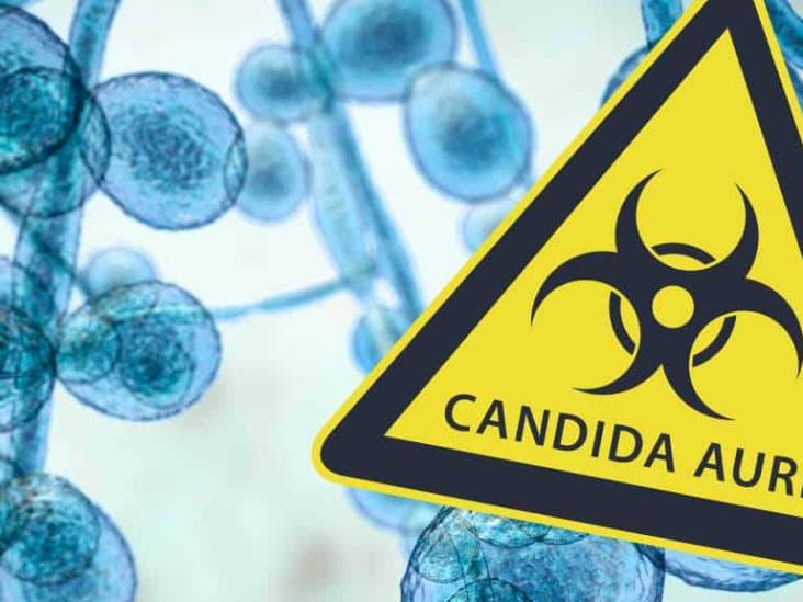 ¡Estados Unidos, en alerta! Aumentan infecciones por hongo Candida auris