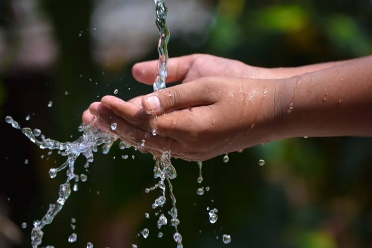 ¿Lo sabías? Hoy es el Día Mundial del Agua